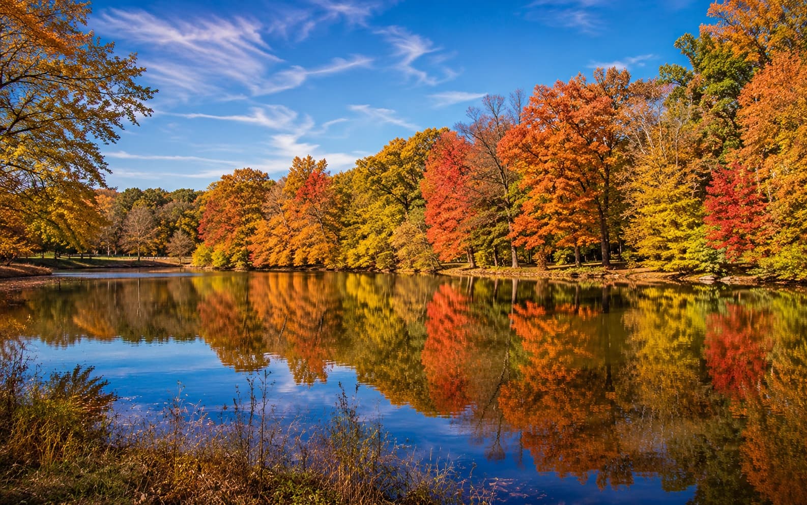 Springfield, VA